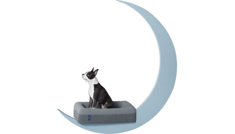 Casper now sells memory foam beds for your spoiled pups