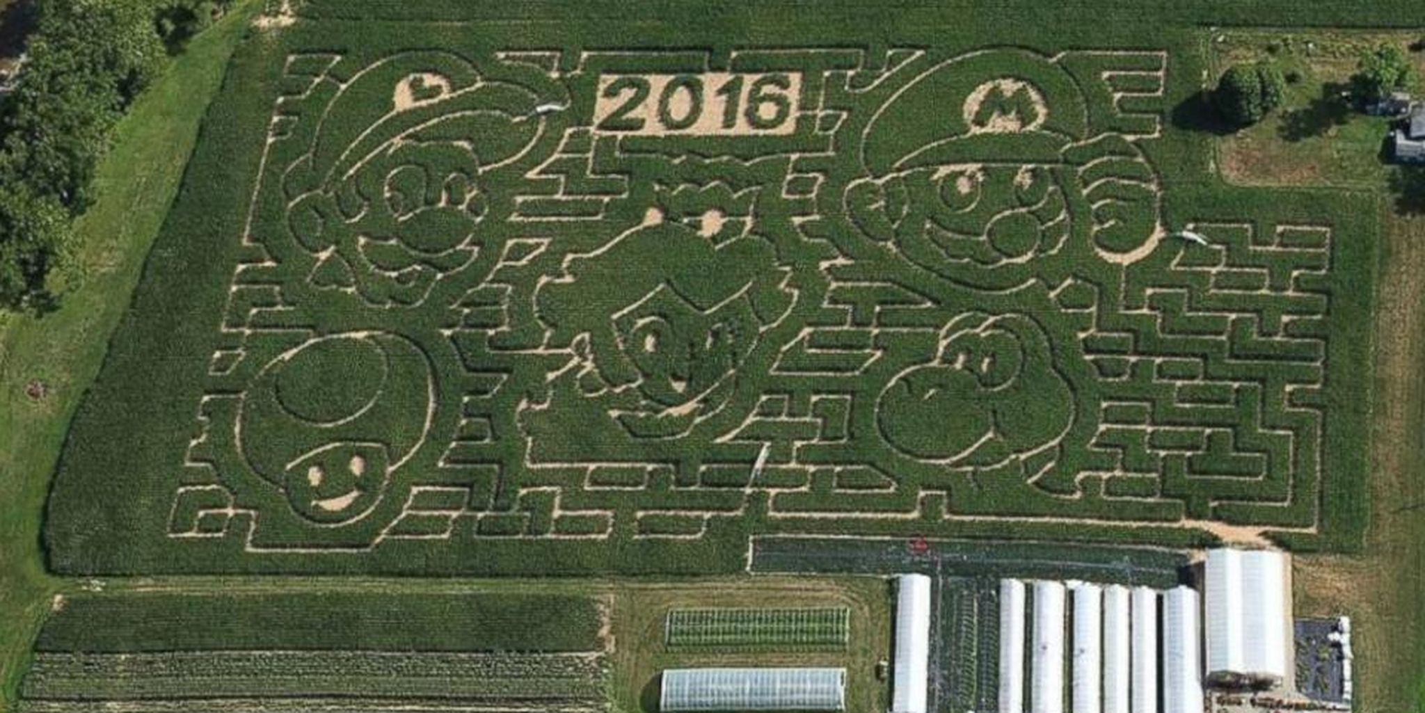 There’s a Super Mario-themed corn maze and we want to go to here Featured Image