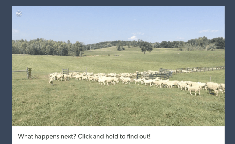 Tumblr brings Apple’s ‘Live Photos’ to the web