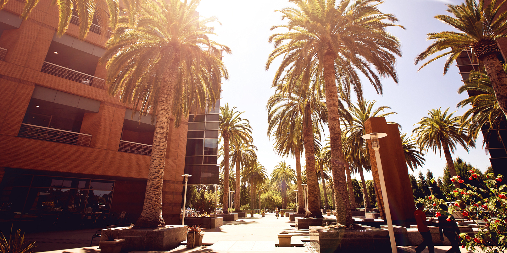 Palo Alto mayor: Tech firms are 'choking' the city