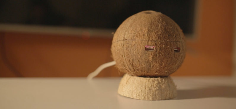 coconut
