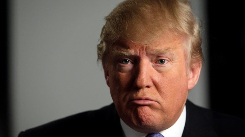 donald trump, reddit