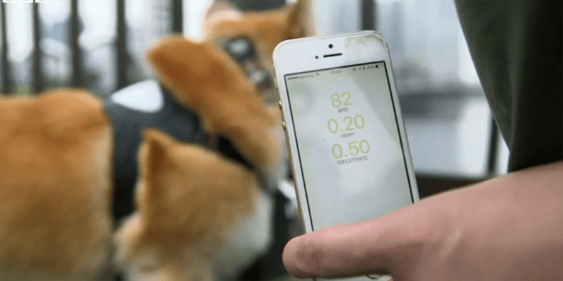 ‘Inupathy’ smart collar acts as a mood ring for your dog