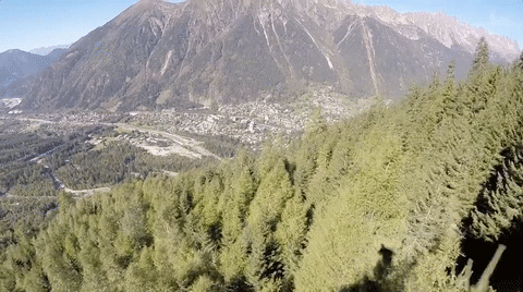 This horrible wingsuit crash is exactly why you fear the sport