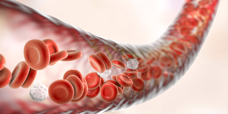 Biotech company raises $360 million for cancer-detecting blood test