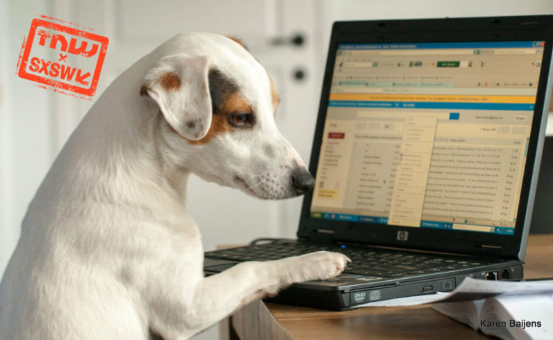 The chicken-and-egg problem of establishing if you’re a dog online
