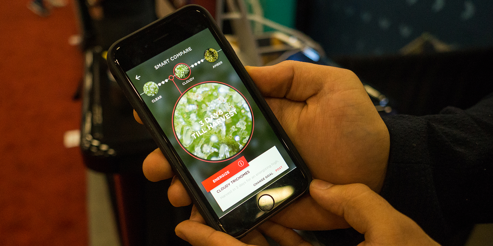 Snaphash is an augmented reality weed doctor for your iPhone