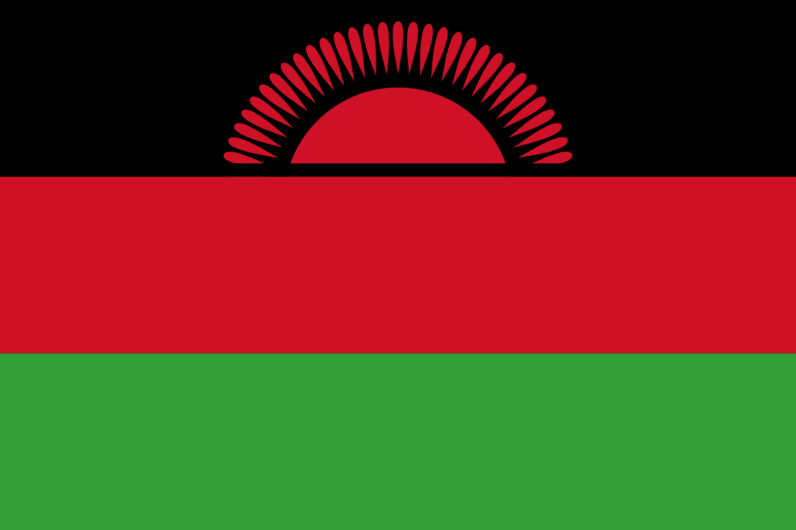 Malawi to use the OpenTrial app for citizens to access the justice system
