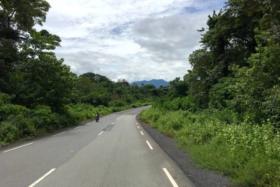 Technology and big data are helping Cameroonians protect their forests