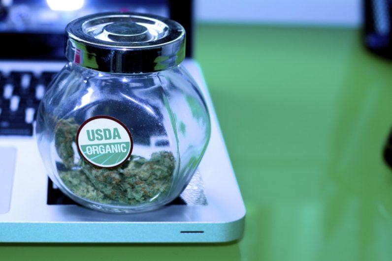Apple gets High (Sierra), builds a vaporizer