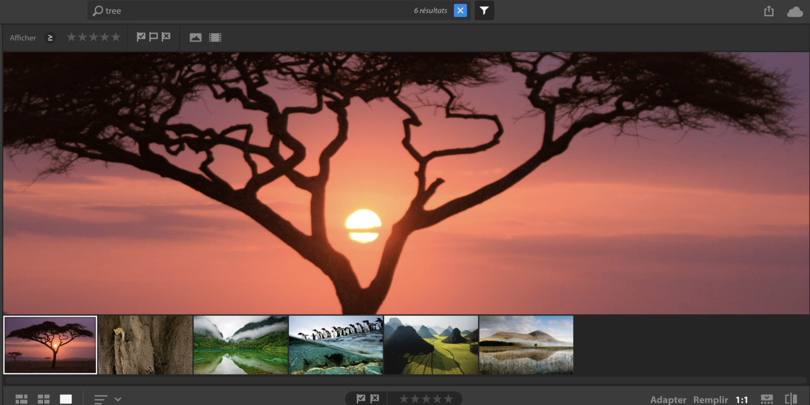 photo of Adobe accidentally leaked its upcoming photo editing app for novices image