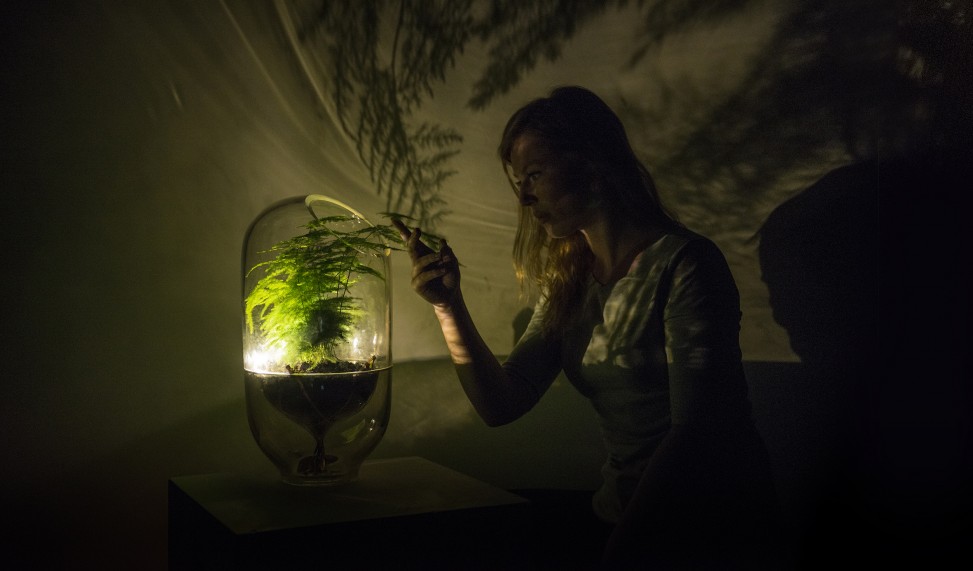 This Dutch startup turns plants into batteries