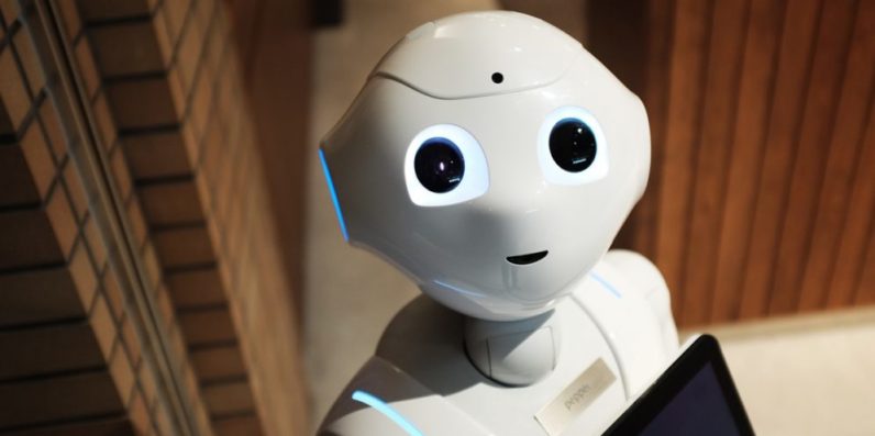 Meet Israel’s next top robots