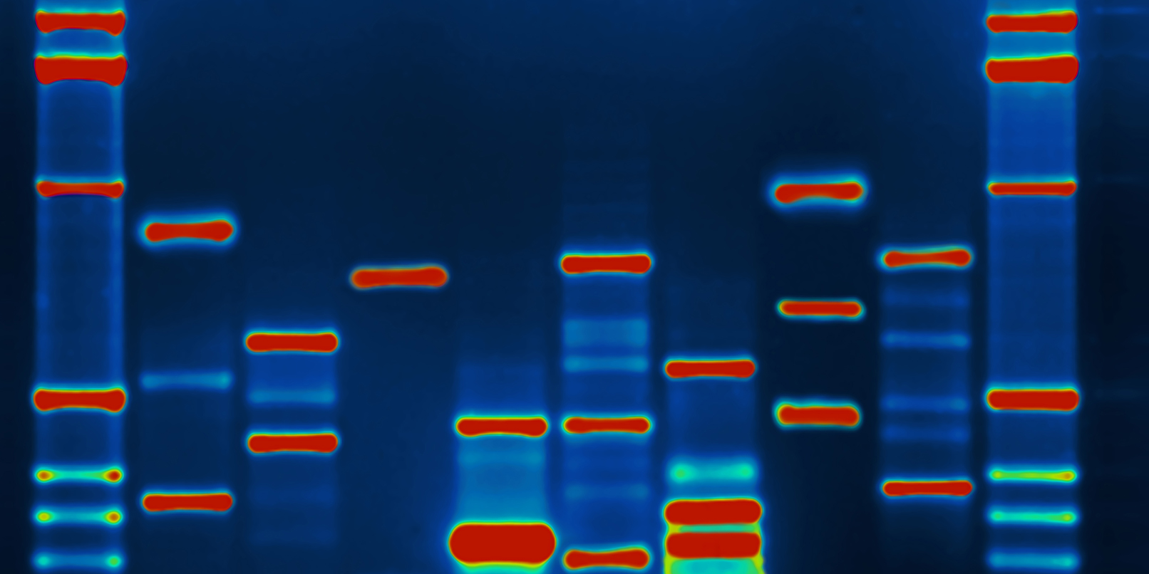 Researchers inject malware into DNA to hack a computer