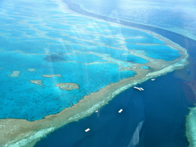 Your social media use is helping scientists monitor the world’s ecosystems