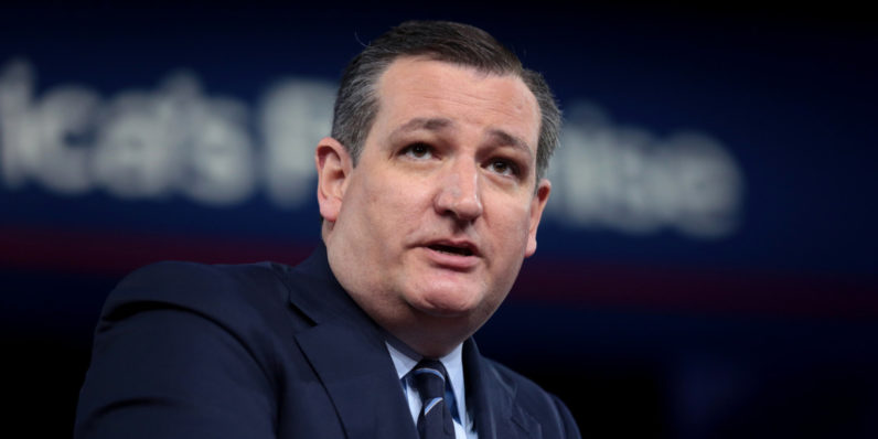 Ted Cruz just liked a porn tweet. That is all.