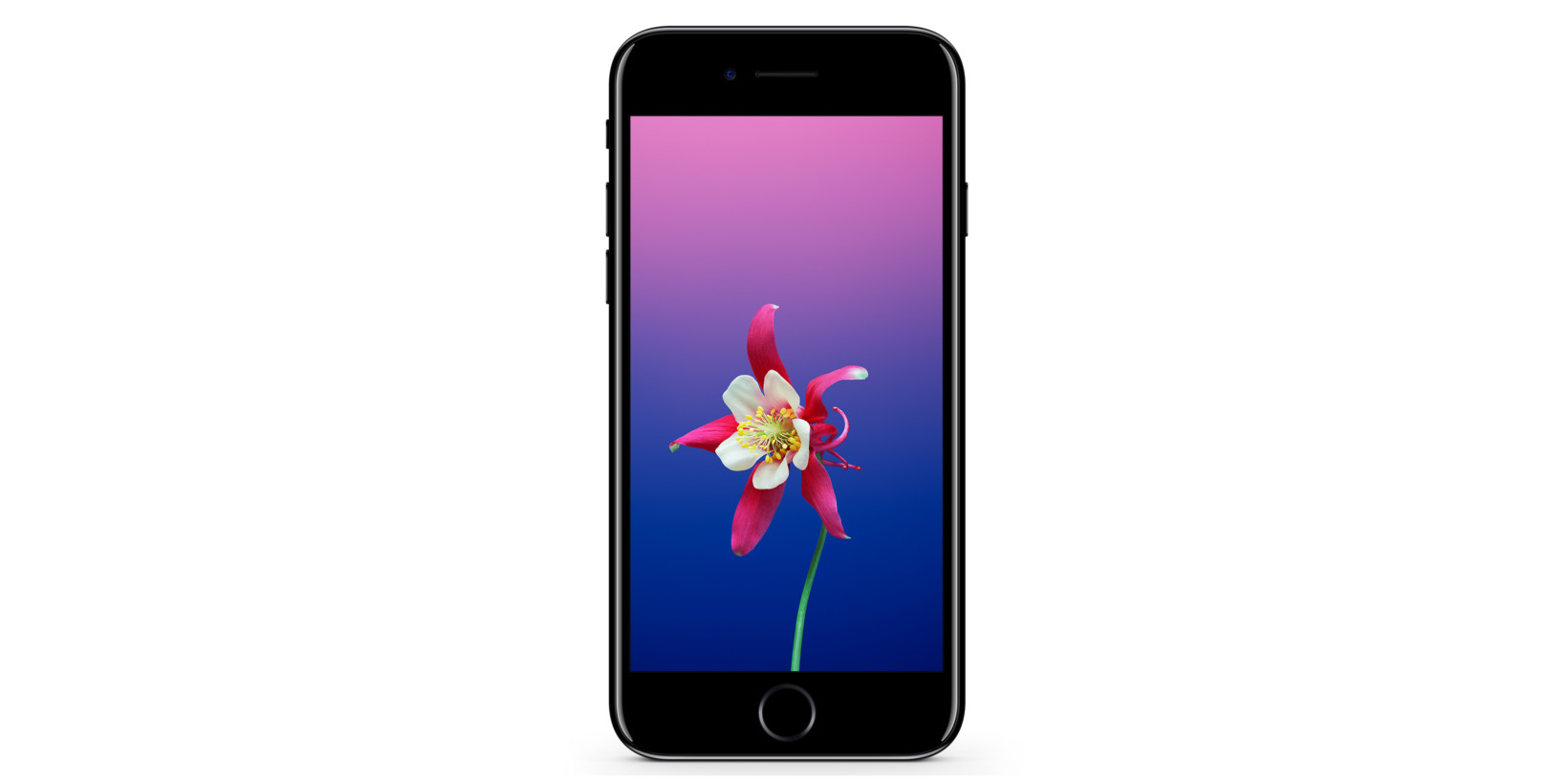 Pretty Up Your Home Screen With 16 New IOS 11 Wallpapers