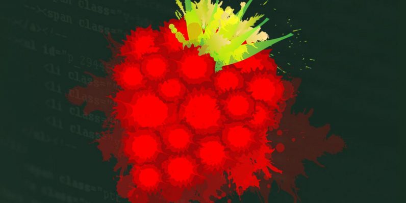 Raspberry Pi