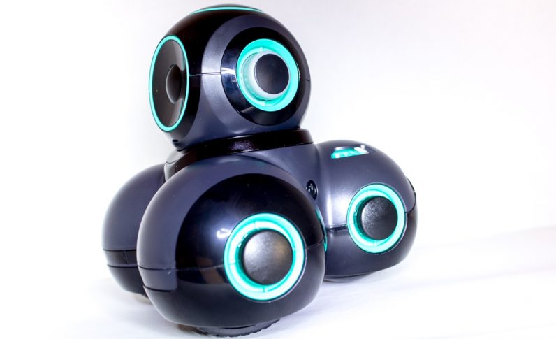 The Cue robot delighted my children and scared the crap out of my cat
