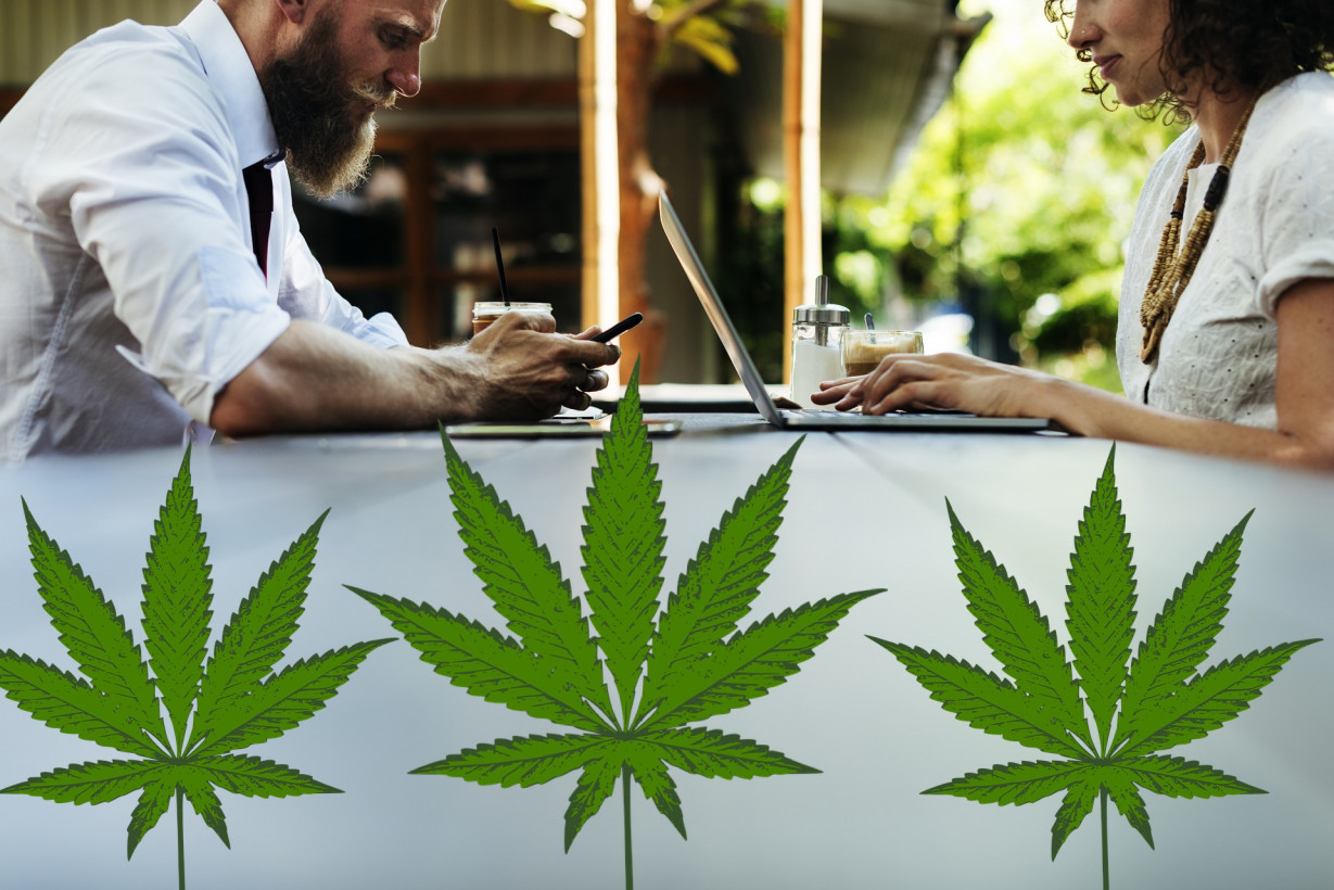 Milking the kush cow – how to benefit from the weed boom from afar