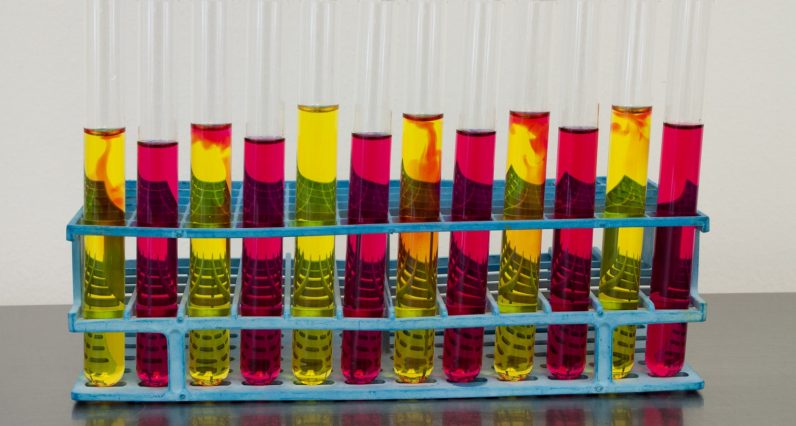 ‘Immortal cells’ harvested in 1951 destroyed decades of medical research