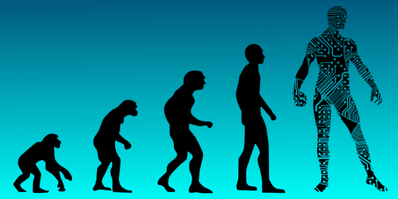 human Evolution