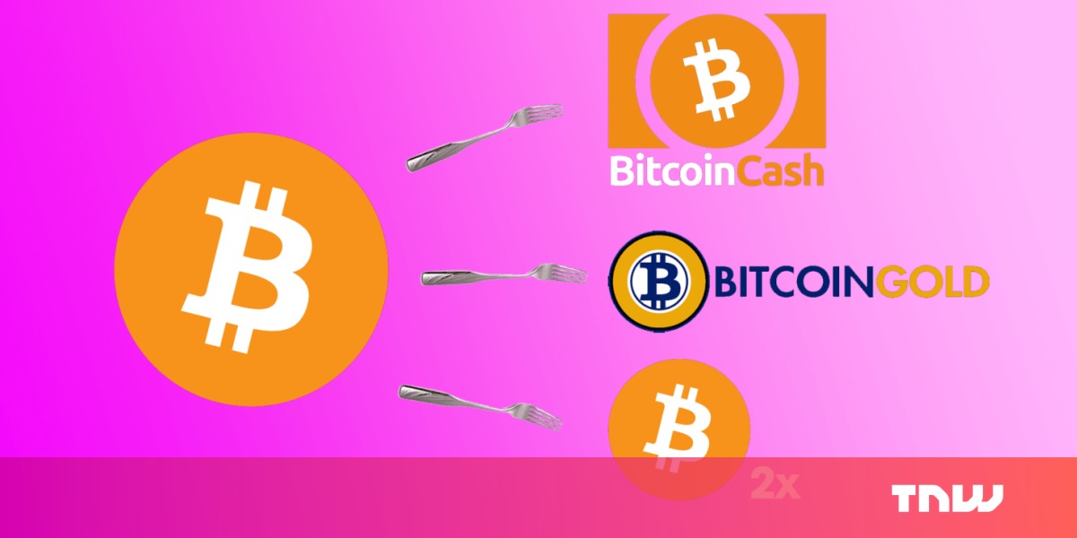 photo of The ultimate plain-English guide to Bitcoin forks image