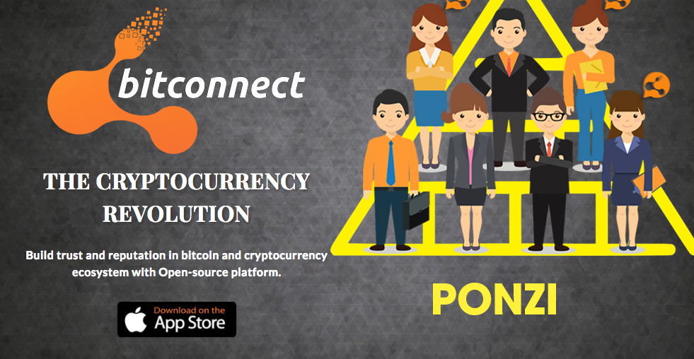 Bitconnect For Litecoin | bitconnect is a ponzi scheme ethereum and litecoin Bitconnect For Litecoin | bitconnect is a ponzi scheme ethereum and litecoin