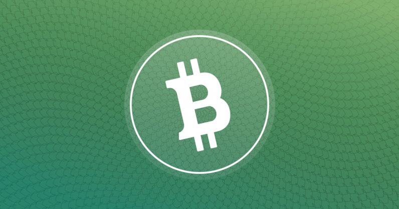 Bitcoin Cash makes waves as it becomes available on Coinbase – and then halts trading