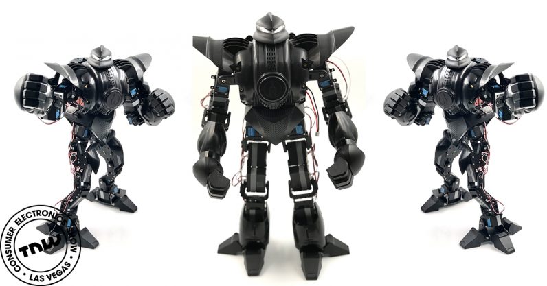 This pint-sized battle robot packs enough power to knock you out