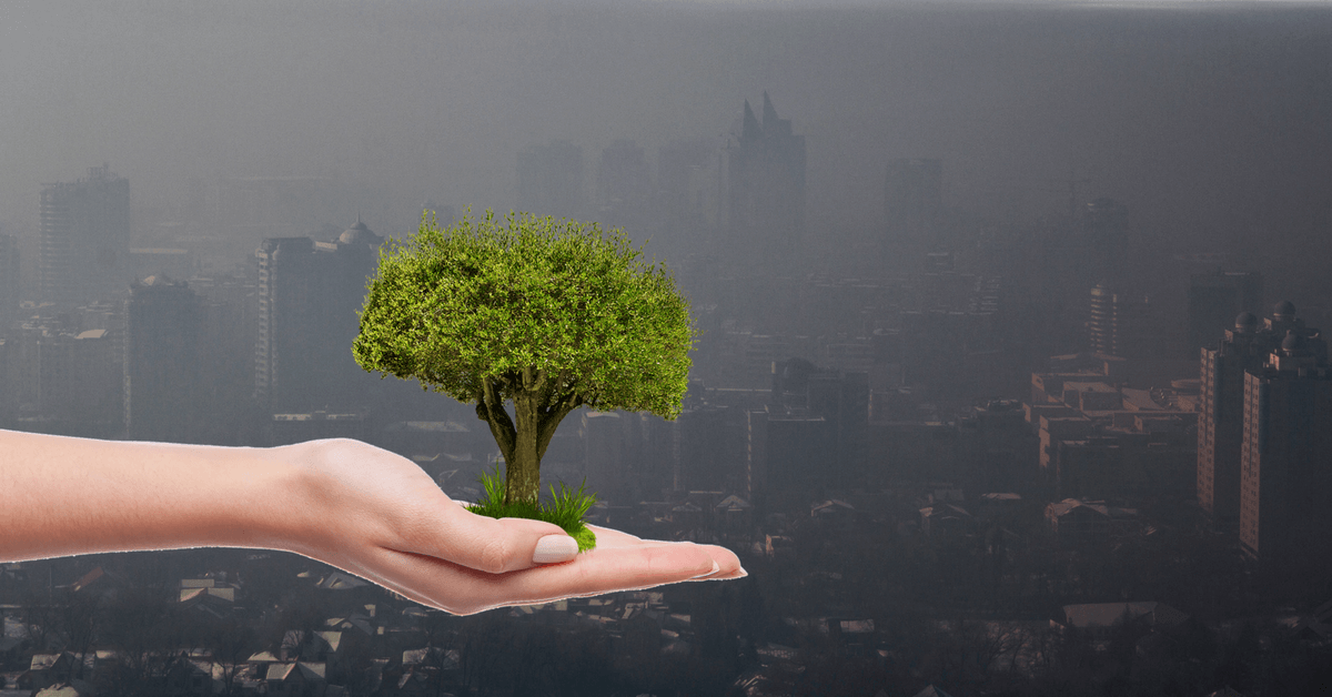 Chile’s pollution problem has led to green startups