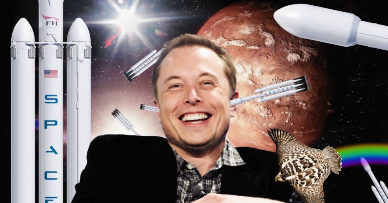 I welcome the douchebag that replaces Elon Musk in the never-ending tech hype cycle