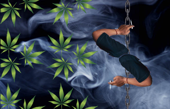This startup is bringing transparency to the weed industry — with blockchain