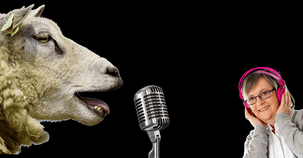 Why brands need to get into ‘voice’ in 2018