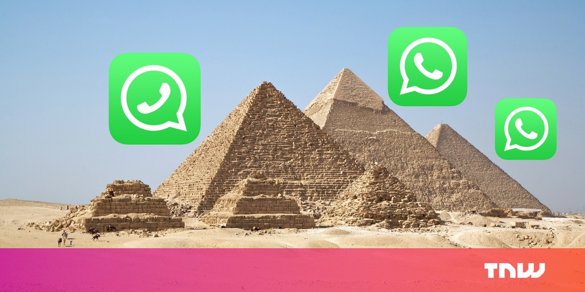 photo of Egypt now has a WhatsApp hotline for reporting fake news image