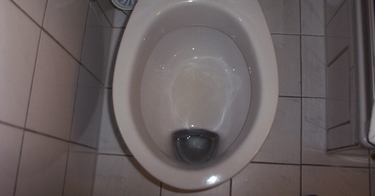 The ‘Roomba of toilets’ exists only to clean your skid marks