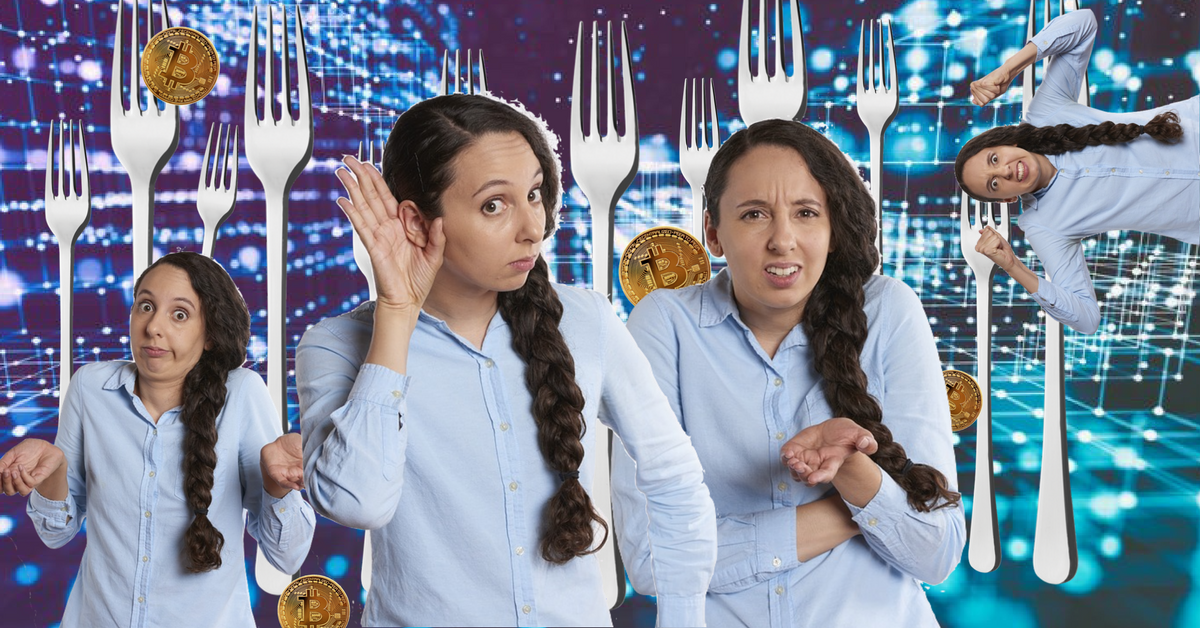 The ultimate guide to hard forks for crypto dummies