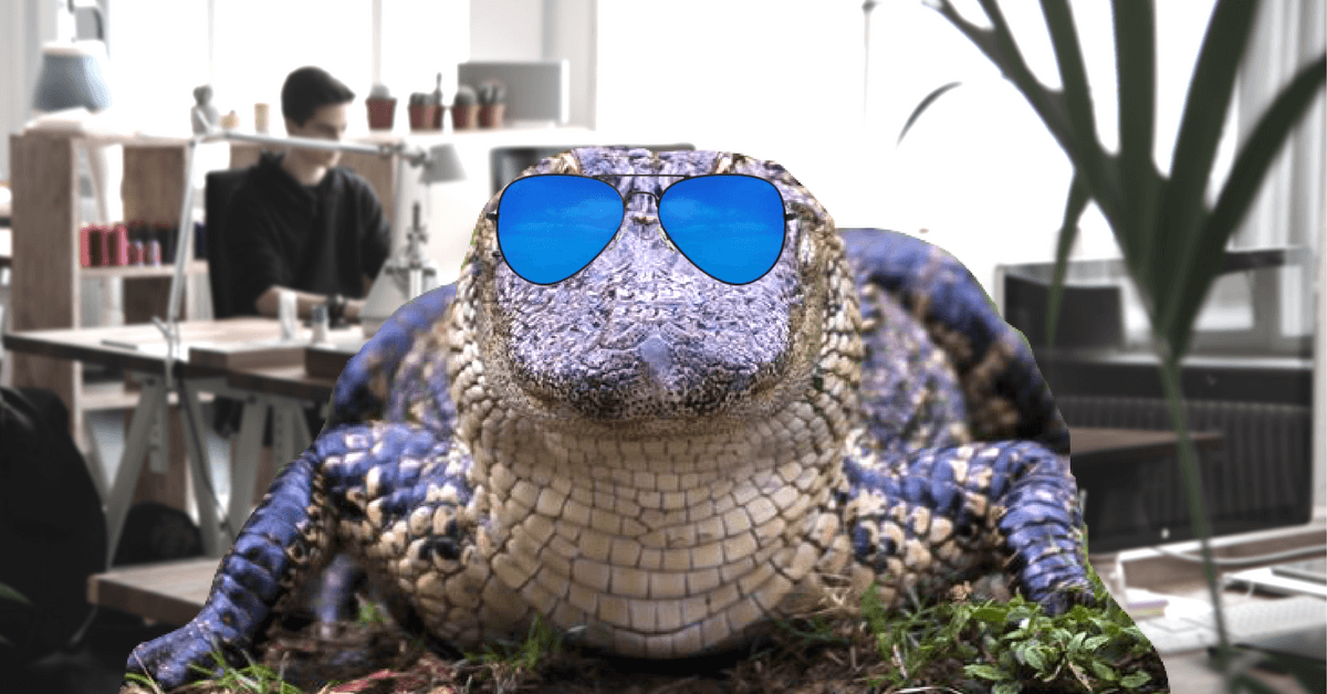 Alligator blood is the key to your startup’s success