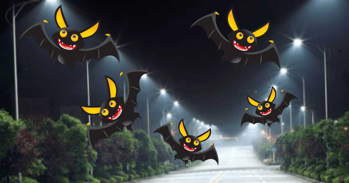 This Dutch town uses high-tech streetlights to keep its bats happy Featured Image