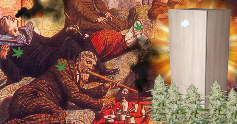 This device lets you grow weed while literally doing nothing