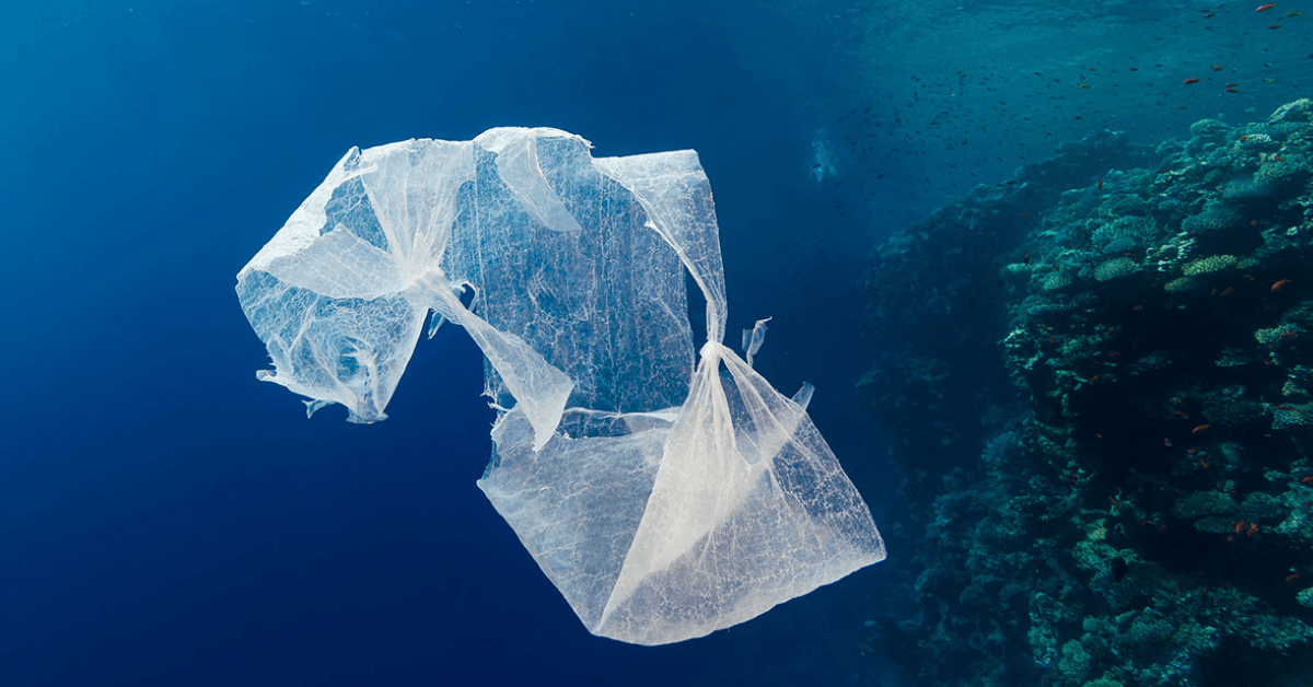Putting more plastic in the ocean might actually be a good thing