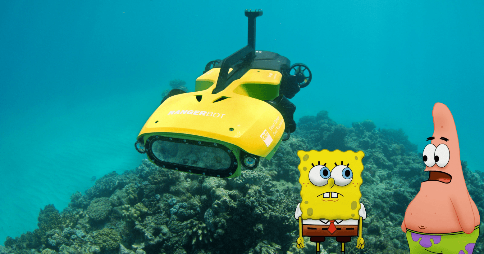 This underwater death machine has one mission: Destroy the starfish