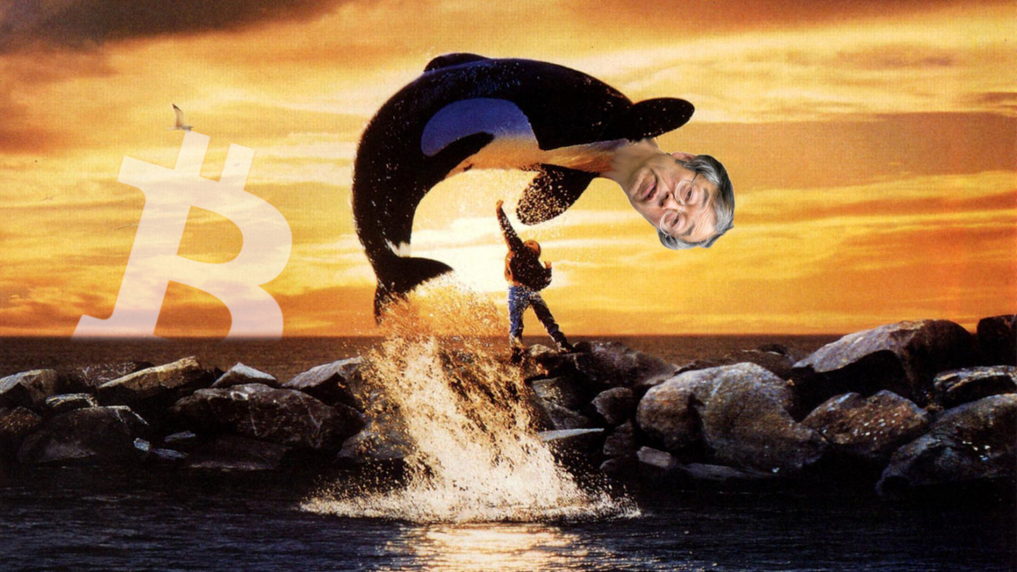free willy, whale, bitcoin, cryptocurrency, friendly, good guys