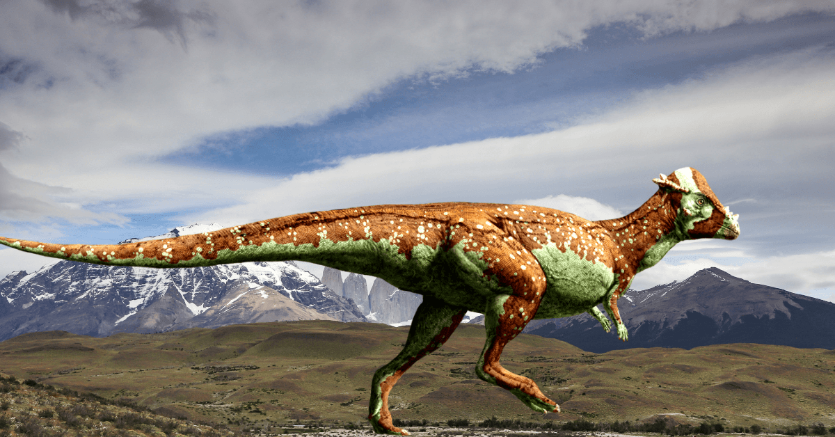 New species of dinosaur discovered in Neuquen, Patagonia