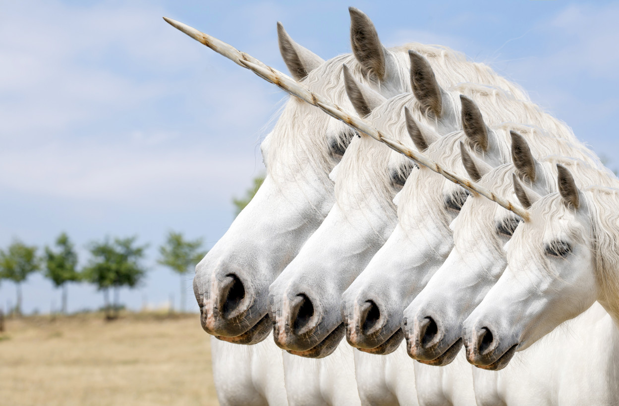 EU unicorn CTO shares his secret to hyper-growth scaling