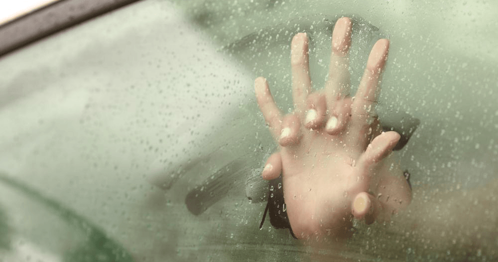 Report: People are going to have a lot of sex in self-driving cars