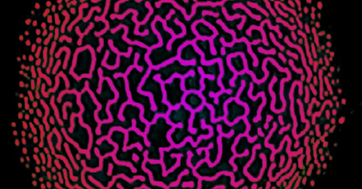 This trippy ’80s video effect might help explain consciousness