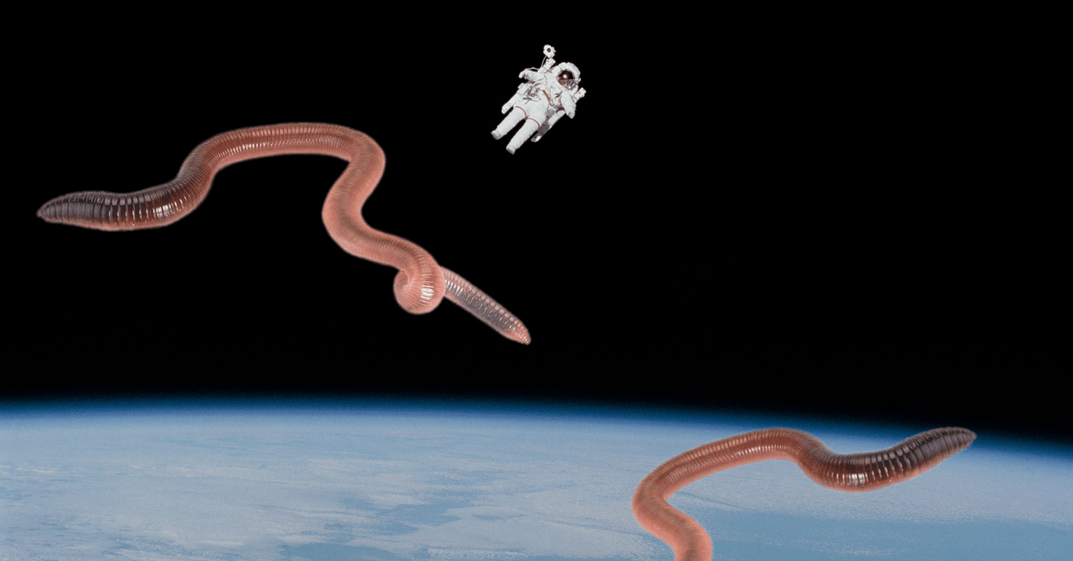 Here’s why NASA is sending worms to space