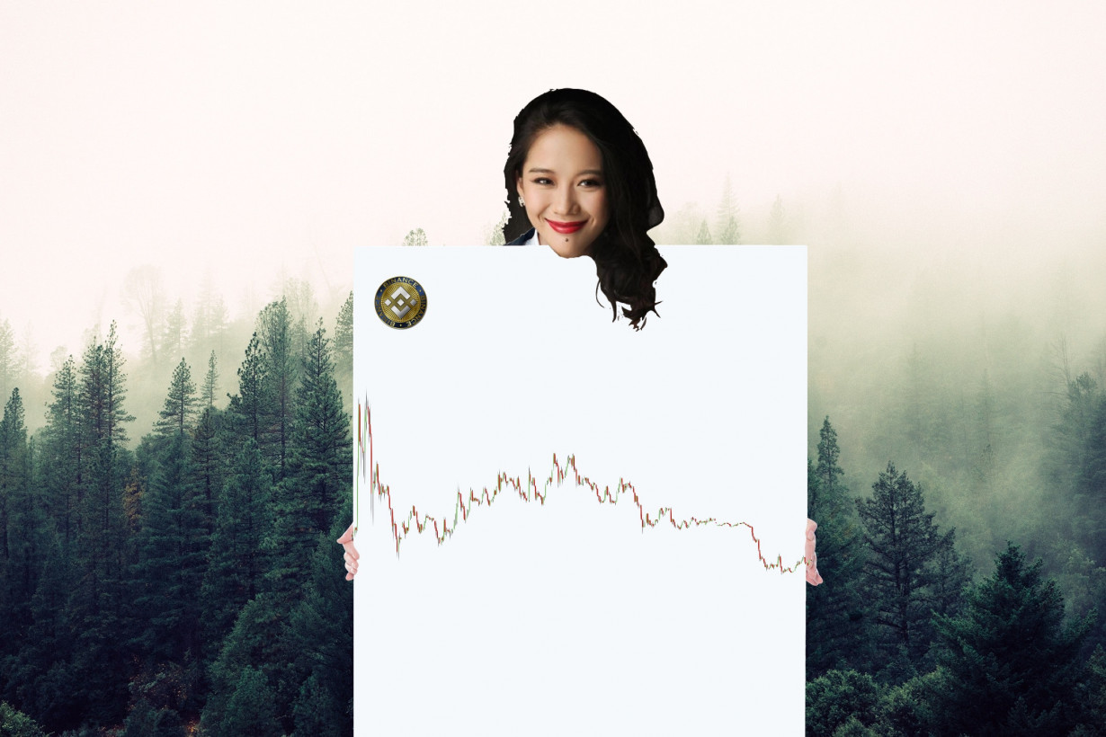 End of year crypto roundup: How did Binance Coin perform in 2018? Featured Image