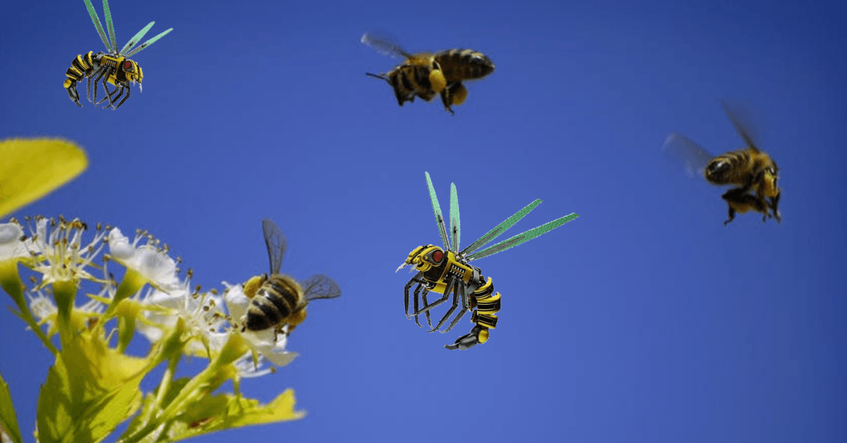 What smart bees can teach us about collective intelligence